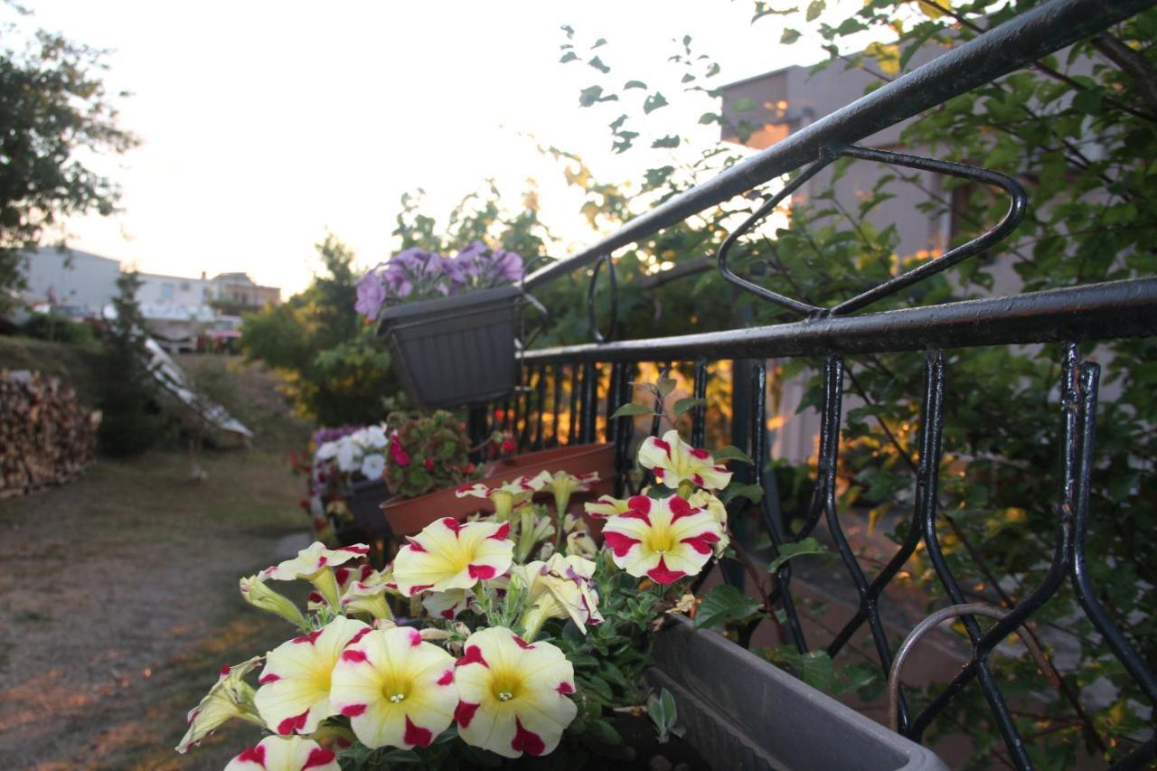 Guesthouse P&A Budva Luaran gambar