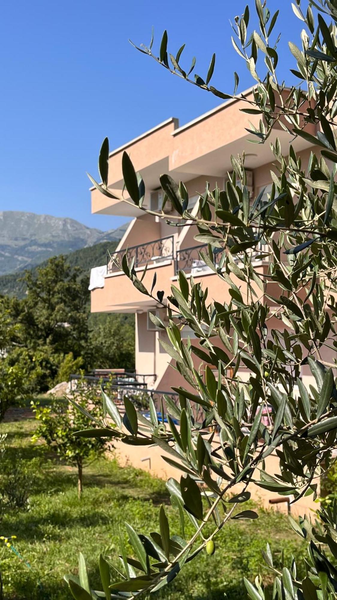 Guesthouse P&A Budva Luaran gambar