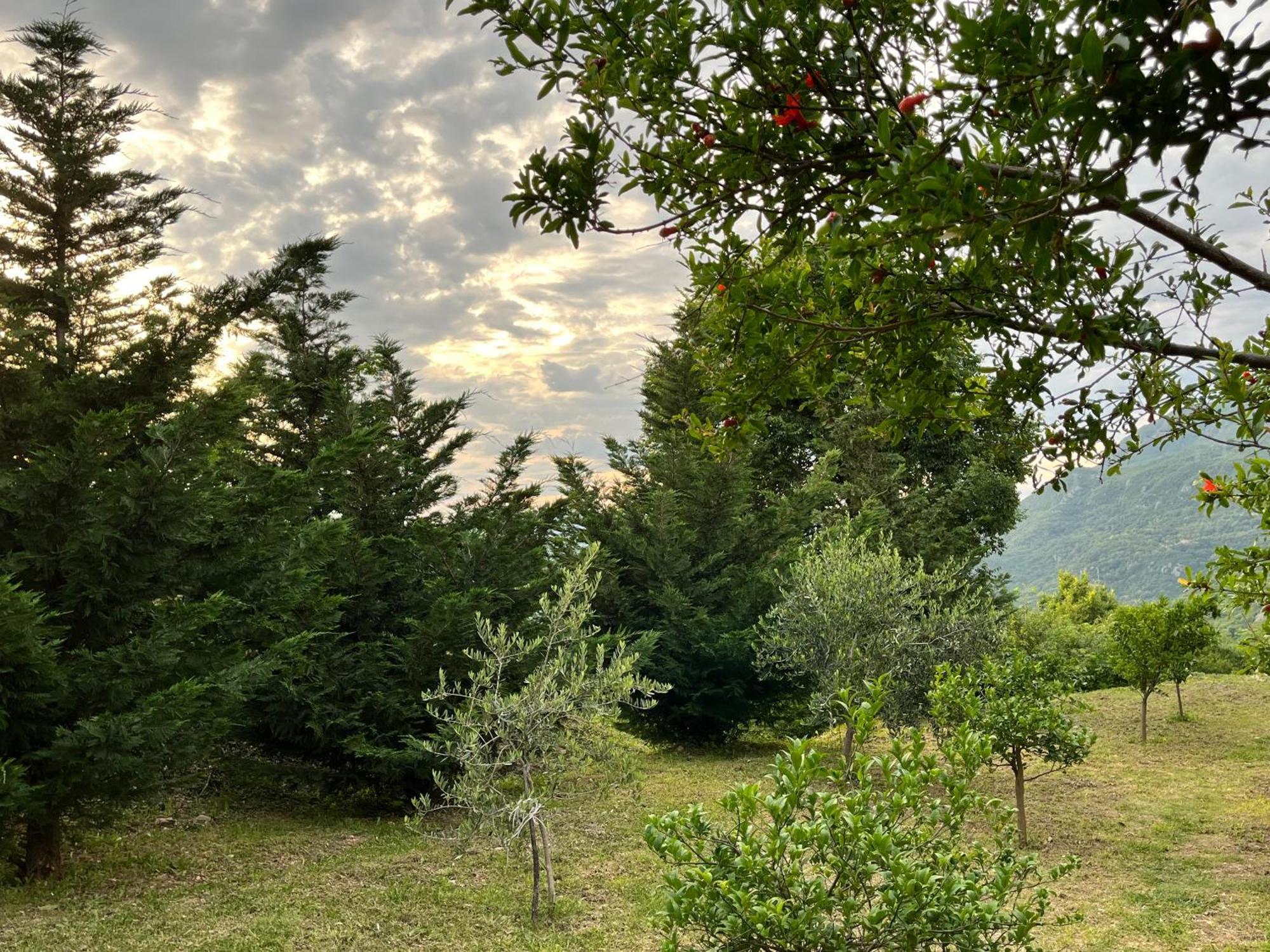 Guesthouse P&A Budva Luaran gambar